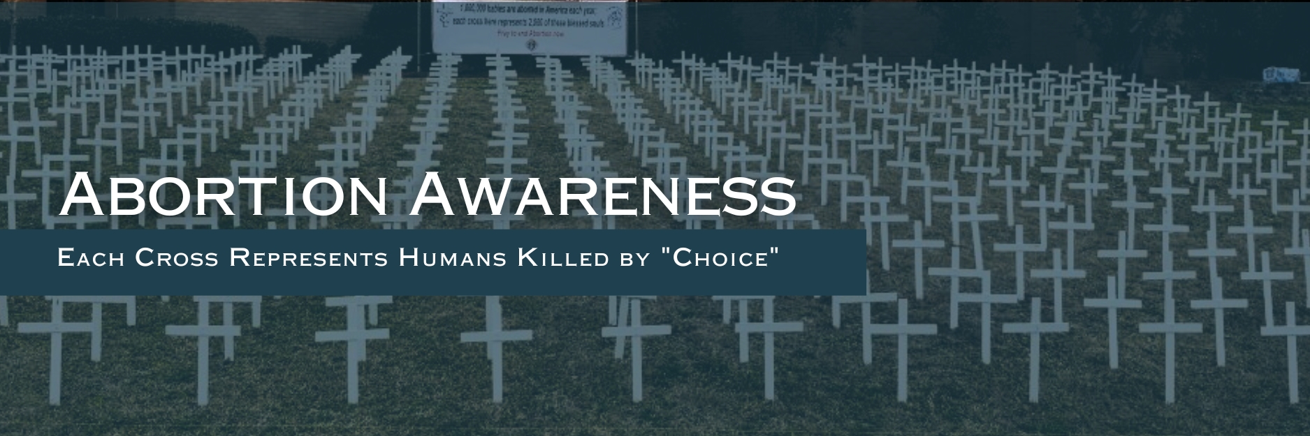 Abortion Awareness Crosses